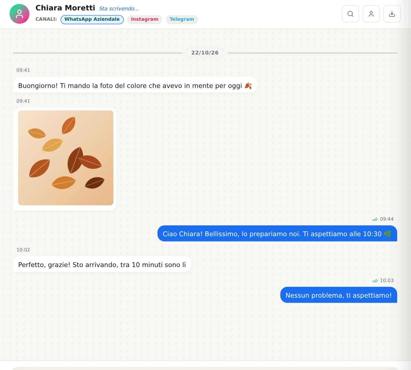 Una conversazione con un messaggio dello staff con due spunte verdi e, sotto, «Sta scrivendo…» del contatto.